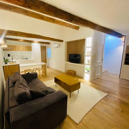 En Duplex Vieux 尼斯